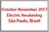 electric-awakening-2017